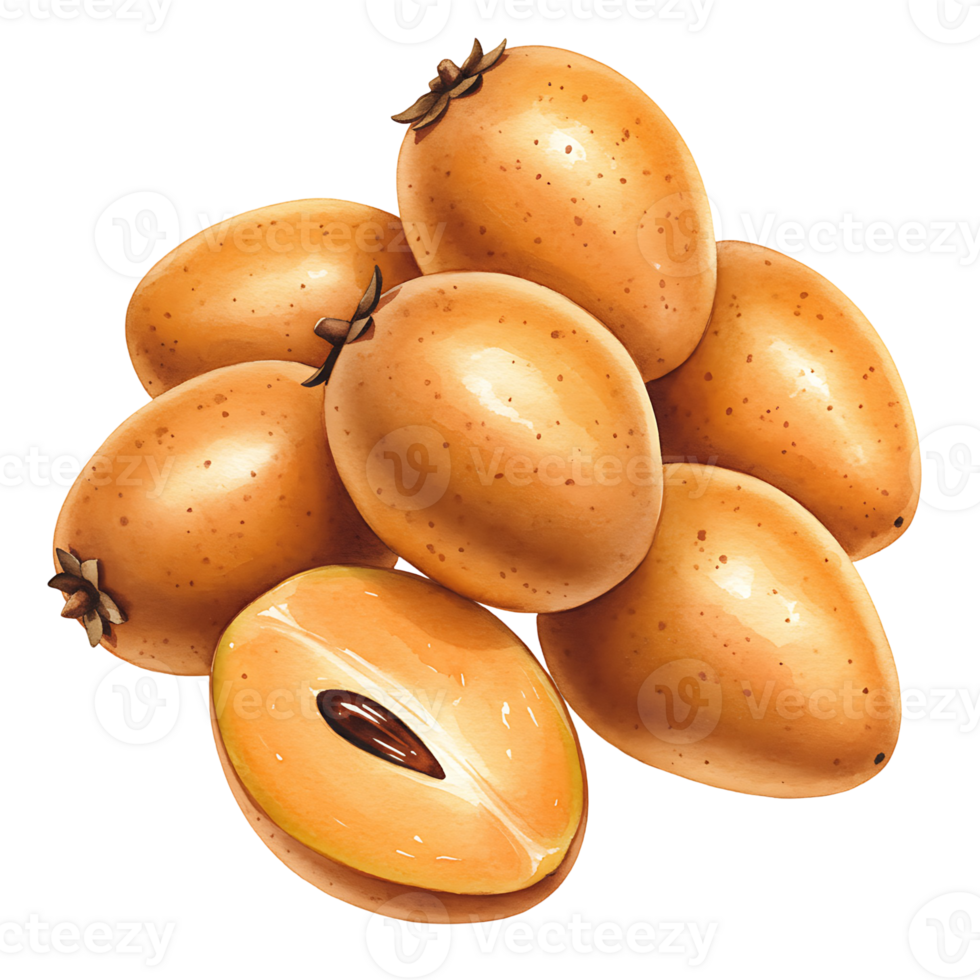 A Watercolor of sapodilla fruits stacked together with one fruit cut open showing the seed inside the fruit on transparent background png
