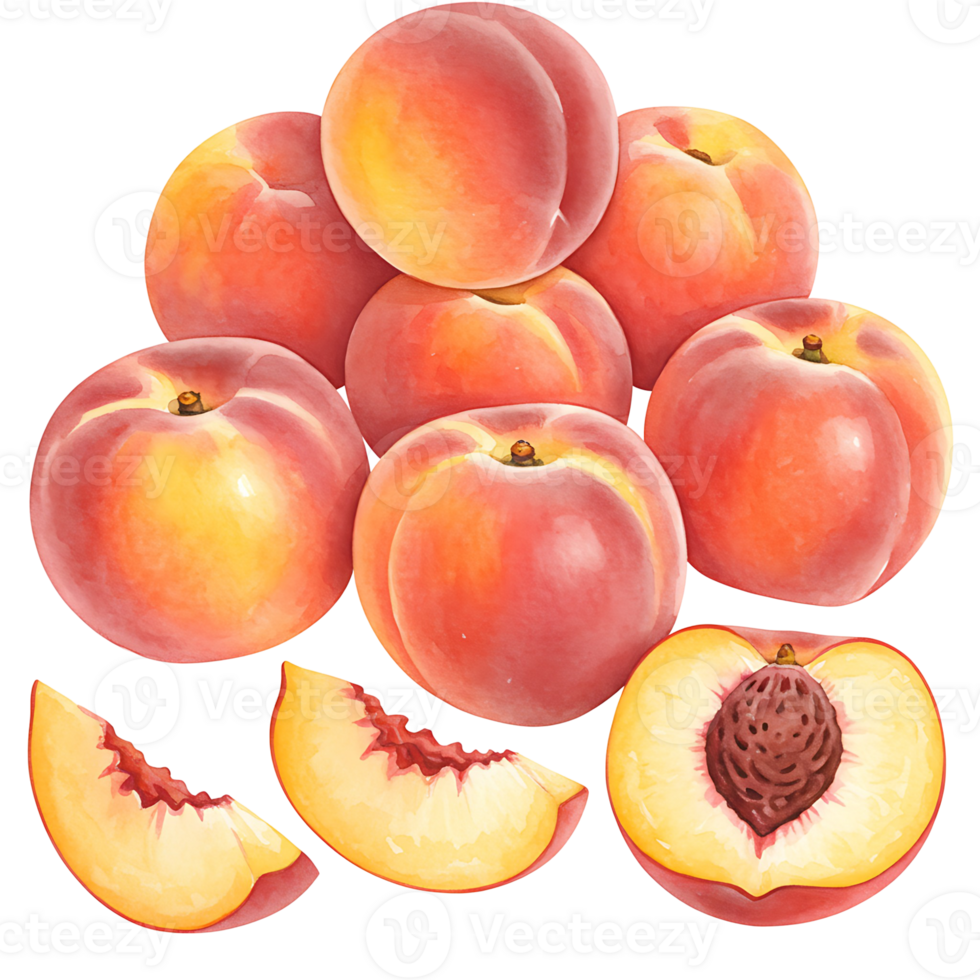Arrangement of several whole peaches and sliced peaches on a plain color surrounding area on transparent background png