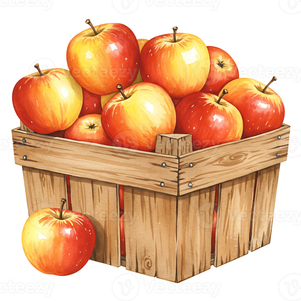 A Watercolor crate filled with many red and yellow apples with stems and a Watercolor apple in front view on transparent background png