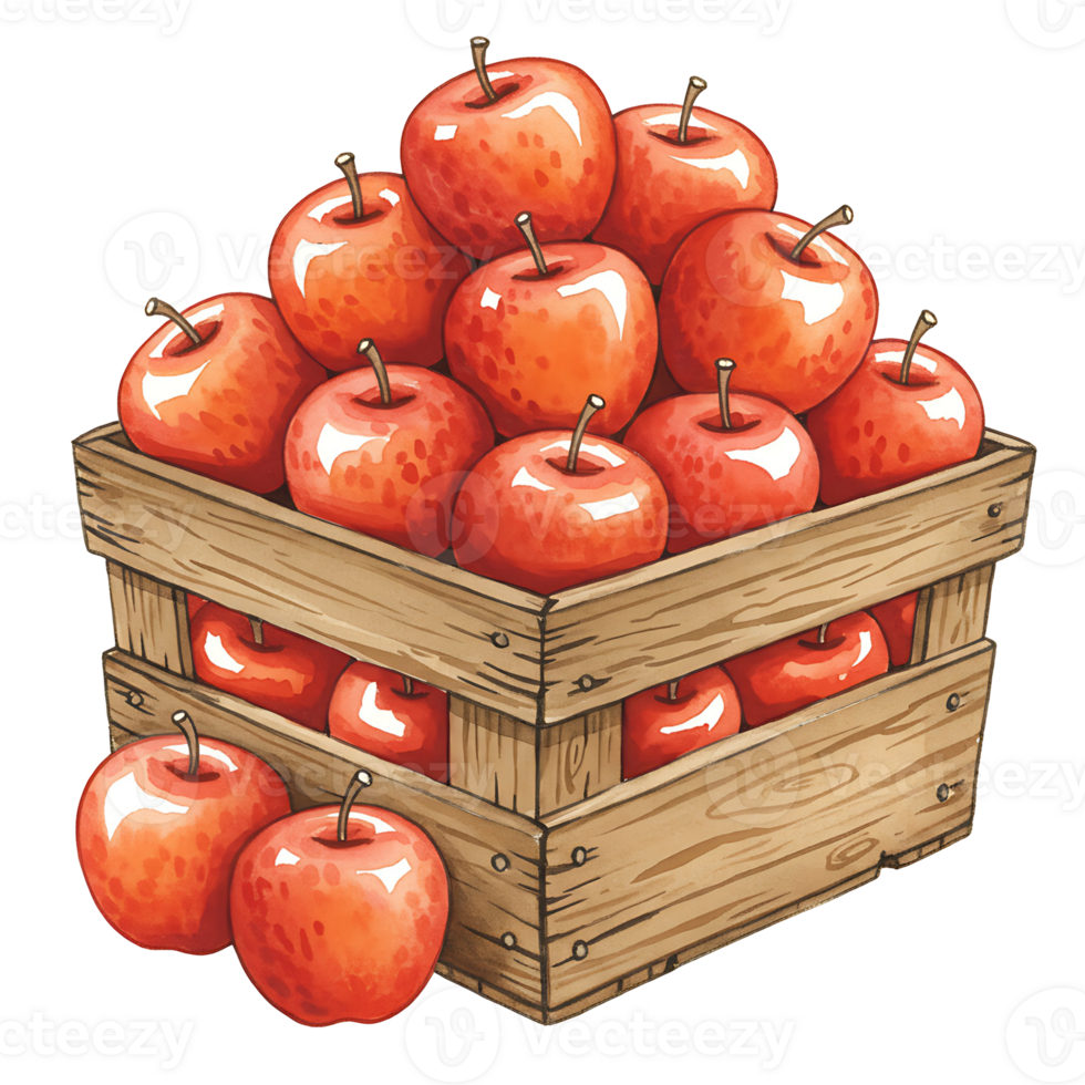 A Watercolor crate filled to the brim with vibrant red apples on a solid color canvas scene view art on transparent background png