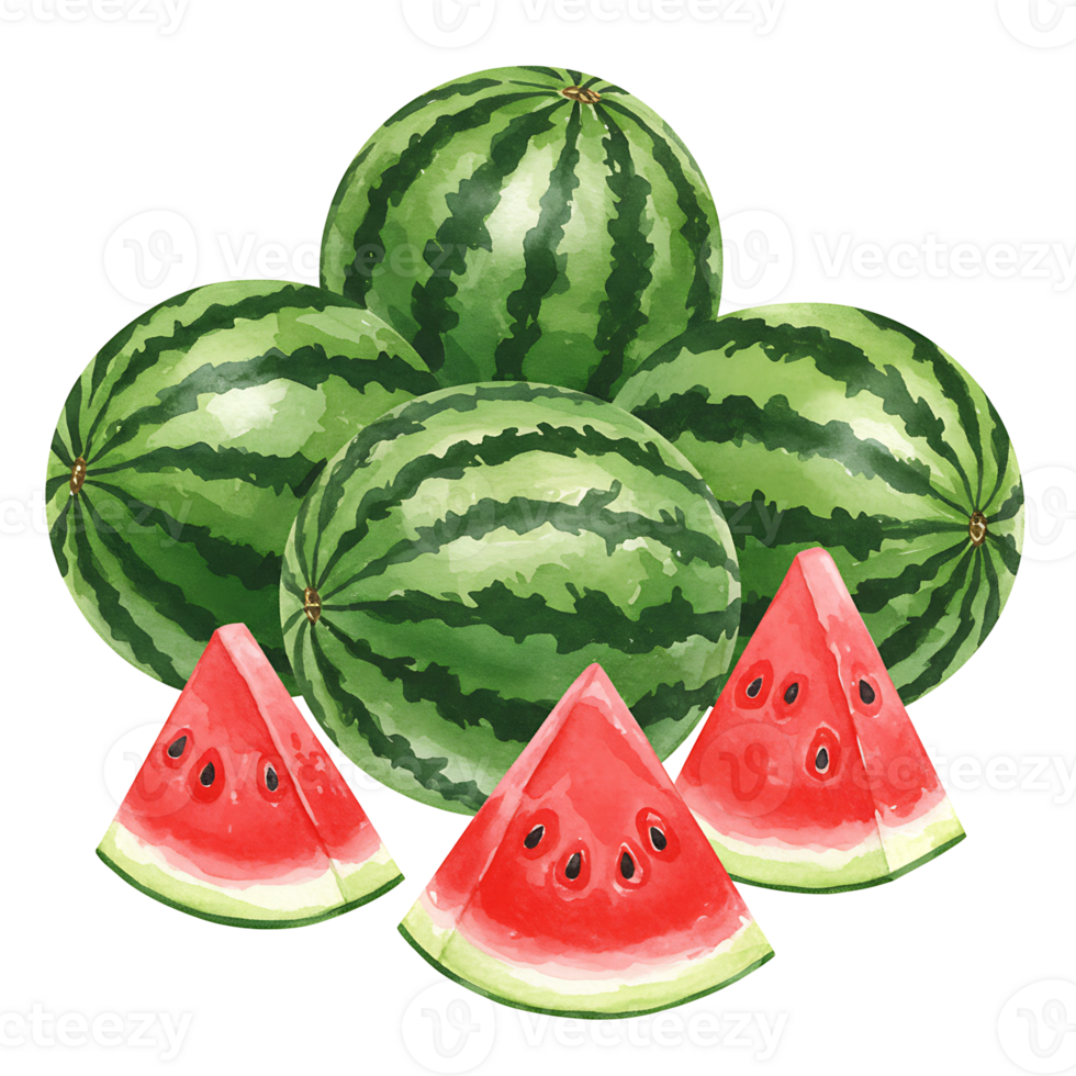 A Watercolor of whole watermelons and sliced pieces arranged together in a visually appealing composition on transparent background png