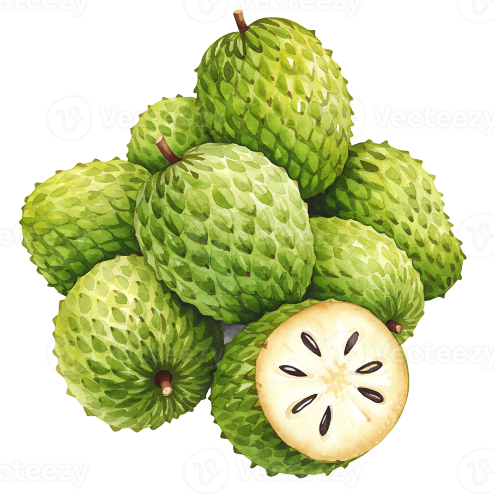 A pile of green custard apples with one cut open showing the seeds on a plain color space area view on transparent background png