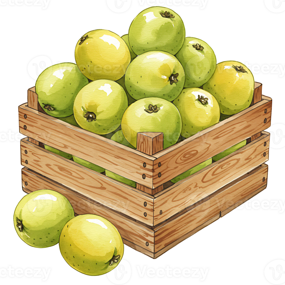 A crate filled with many green and yellow apples with one apple outside the crate near the bottom on transparent background png