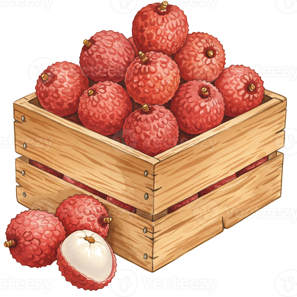 A Watercolor crate filled with Watercolor lychees and some scattered around the crate on the surface on transparent background png