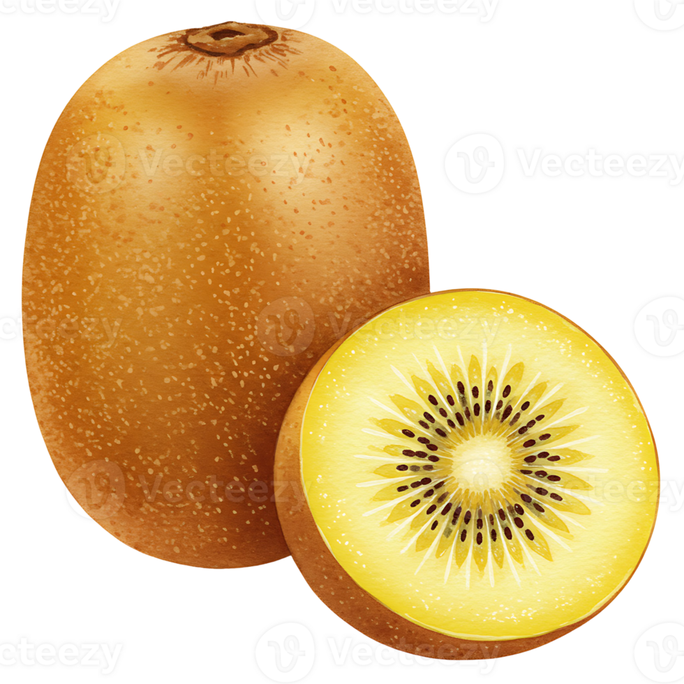 A golden kiwi fruit and a golden kiwi slice showing the interior of the fruit on a plain backdrop on transparent background png