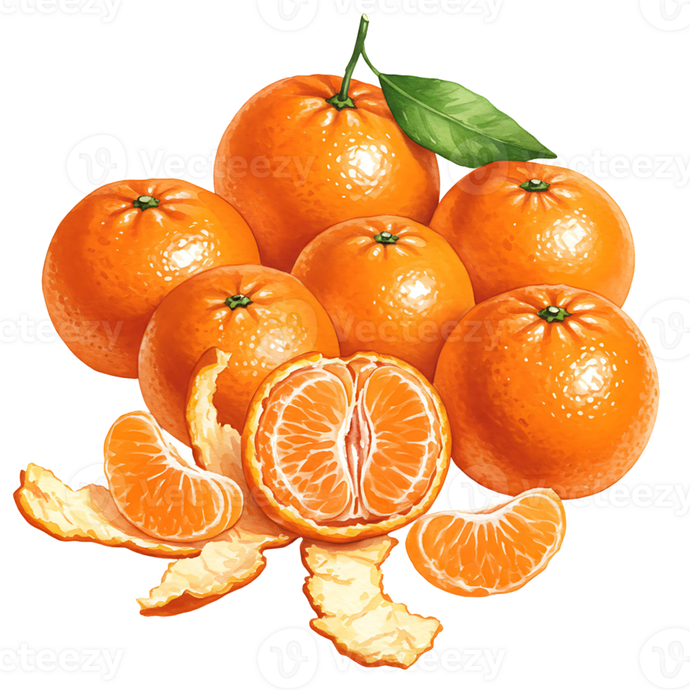 A Watercolor of vibrant tangerines with one sliced in half and some peels scattered around the fruit pile on transparent background png