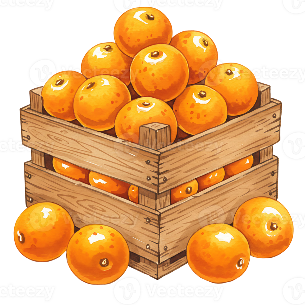 A Watercolor crate filled with many oranges and some oranges scattered around the bottom of the crate on transparent background png