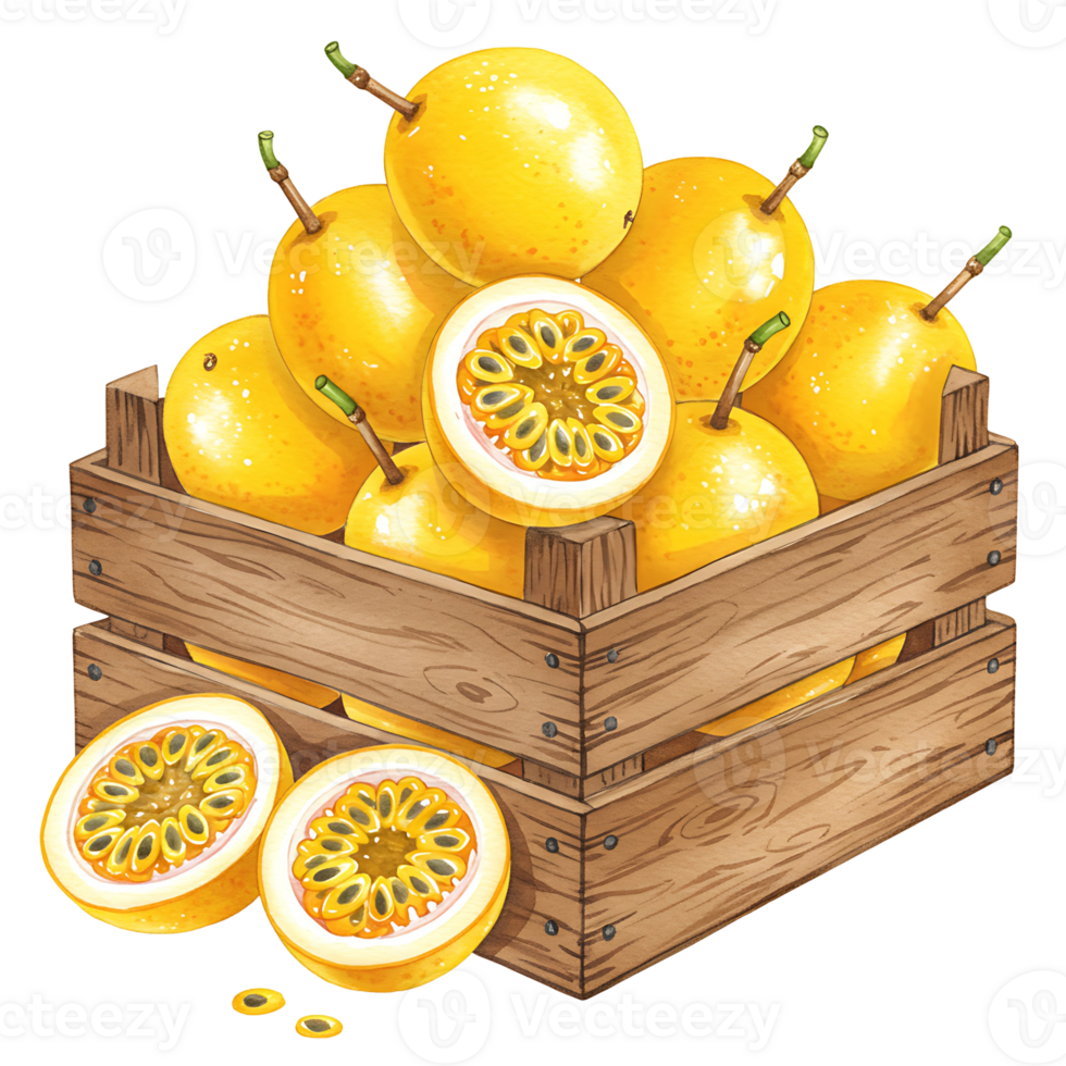 A Watercolor crate filled with granadillas and two halves of the fruit in the foreground view image on transparent background png