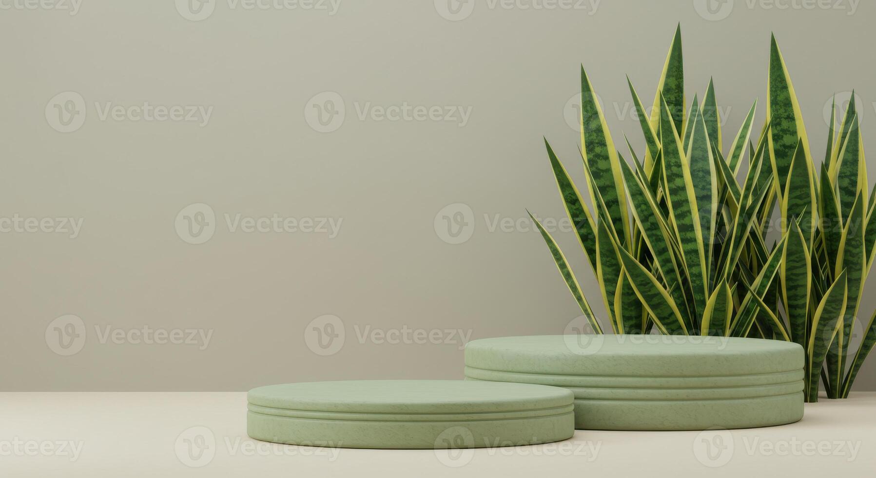 Clean studio setup featuring ribbed sage podiums and vertical snake plants against a plain backdrop photo