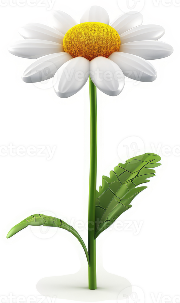 Vibrant white daisy with yellow center. png