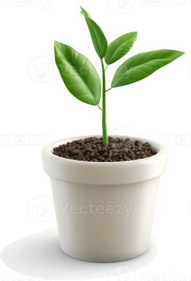 Vibrant young plant in a simple white pot. png
