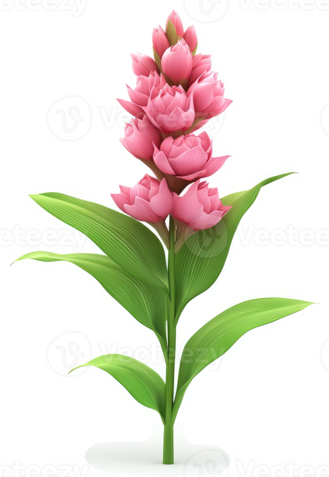 Vibrant pink flower cluster atop a slender stalk. png