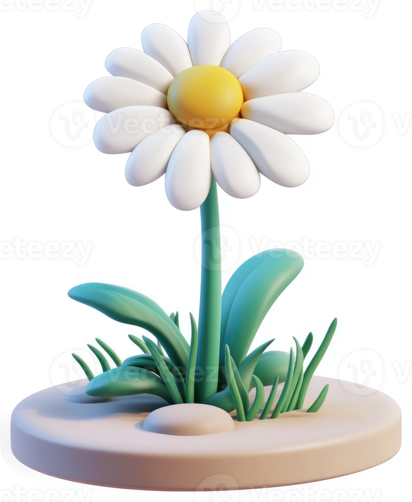 Smiling white daisy with green leaves and grass. png