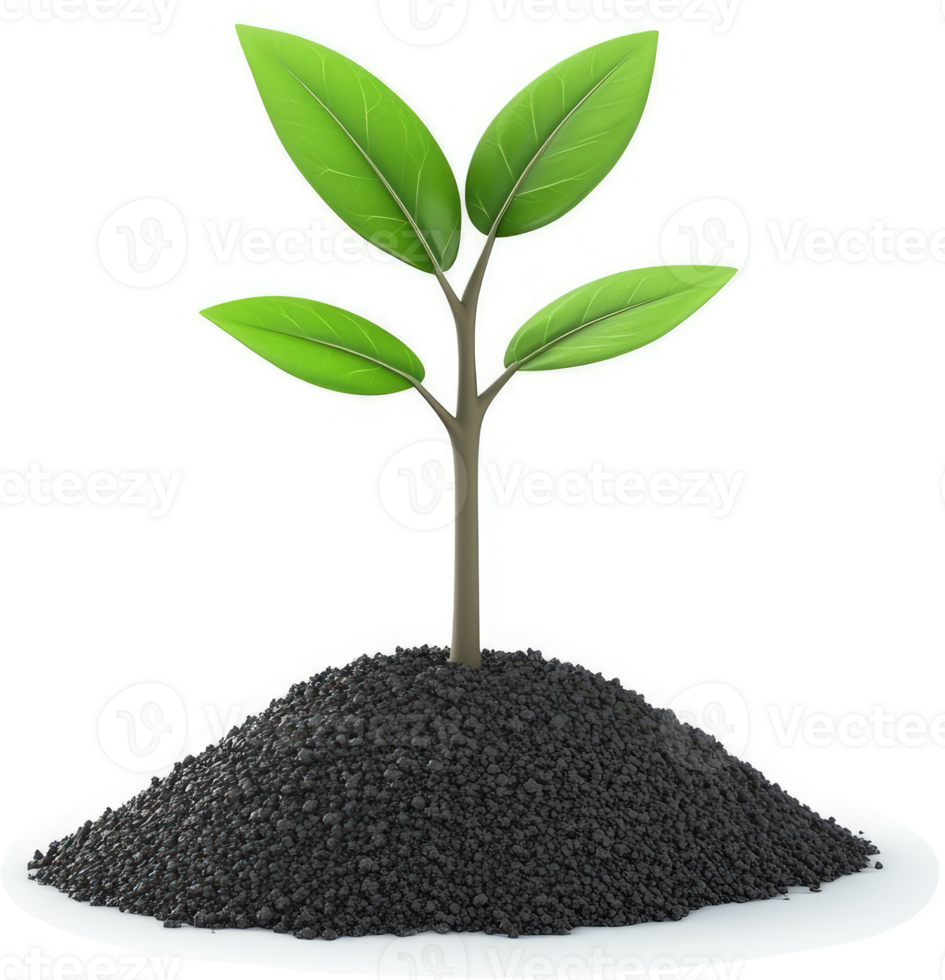 Green sprout emerging from a dark soil mound. png