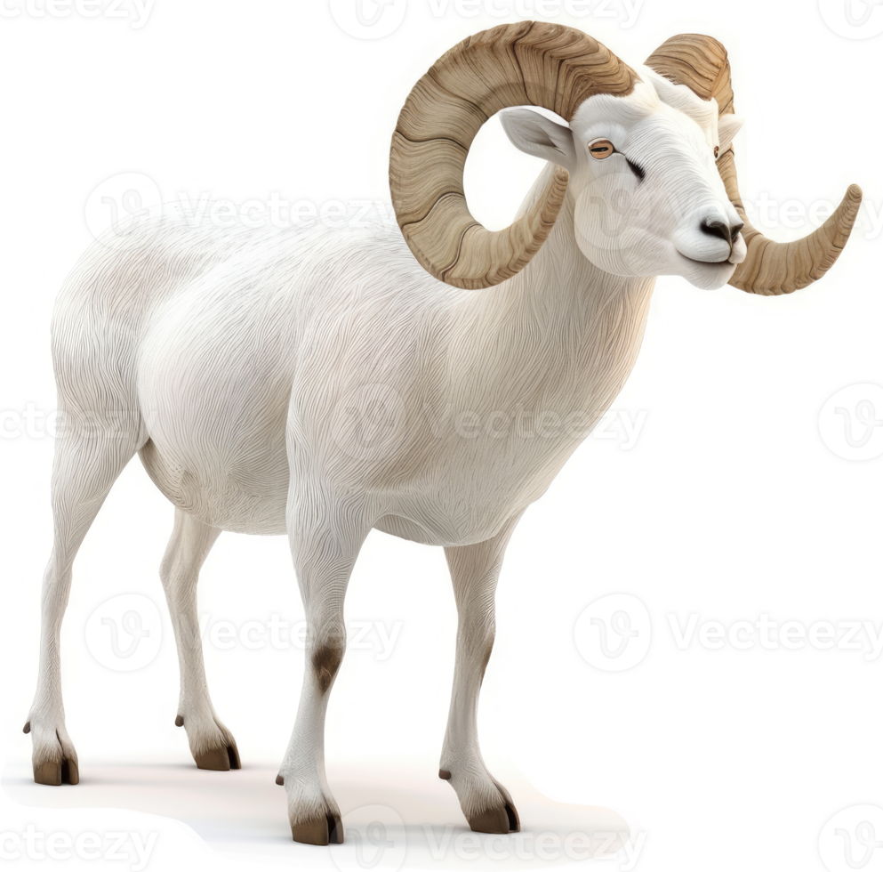 Majestic white bighorn sheep portrait. png