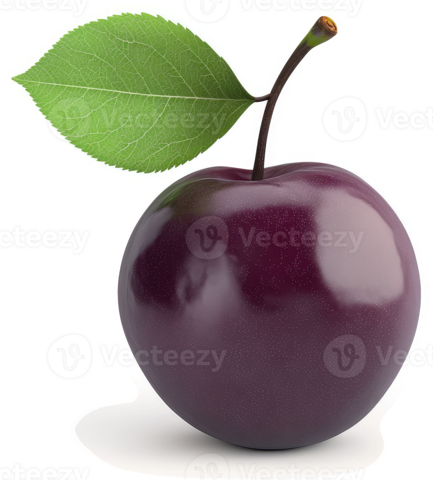 A glossy, dark purple plum with a leaf. png