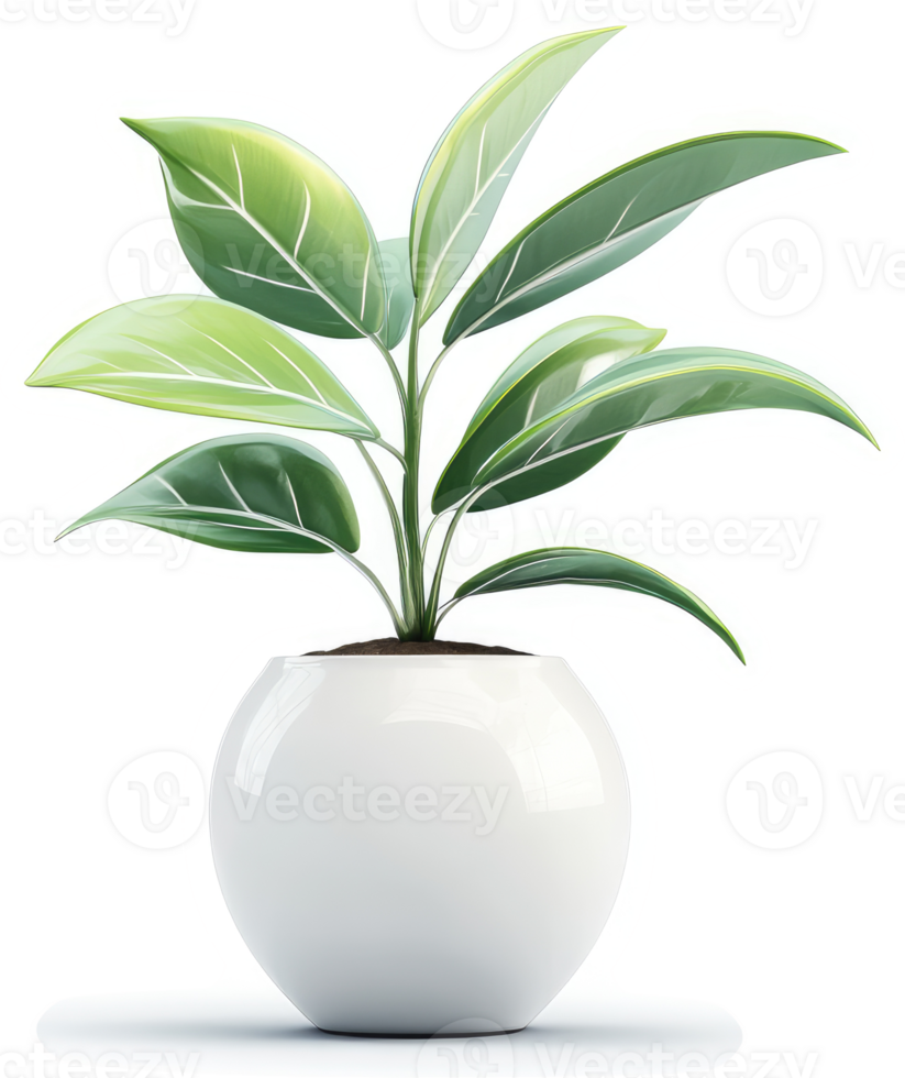 Vibrant potted plant with lush green foliage. png