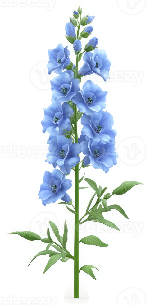 Light blue delphinium flower stem. png