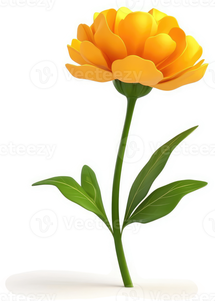 Vibrant orange flower stem and leaves. png