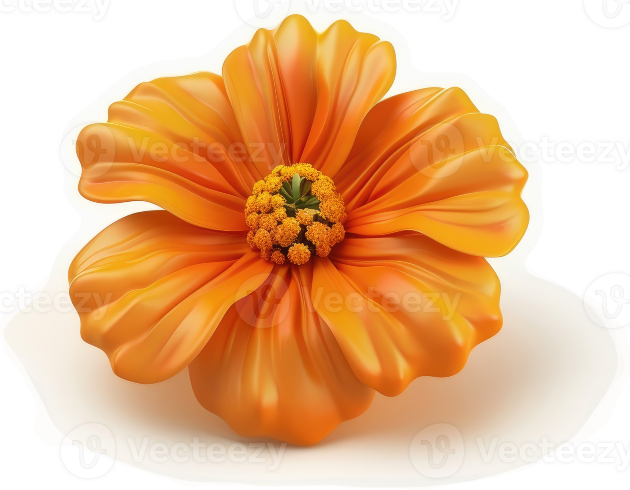 Vibrant orange flower with intricate details. png