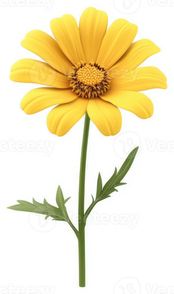 Vibrant yellow flower with a long, slender stem. png
