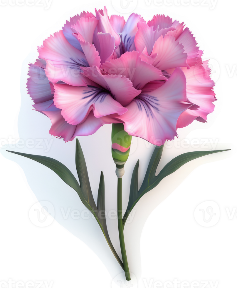 A beautiful, light pink carnation with delicate details. png