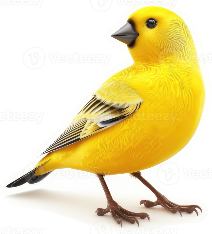 Vivid yellow finch positioned in profile view. png