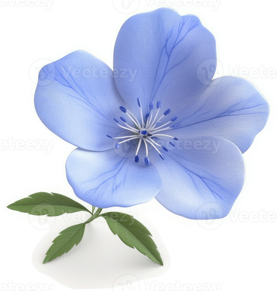Vibrant, light-blue flower with delicate petals. png