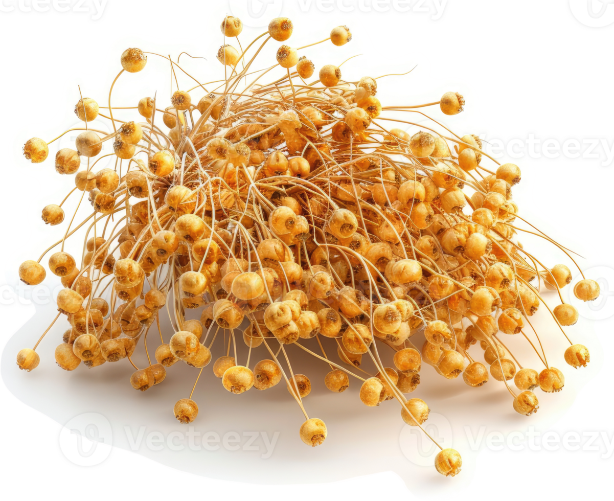 Dried flaxseed pods clustered tightly together. png