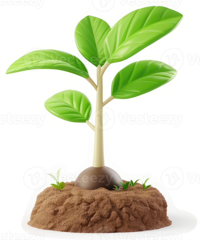 A vibrant young sapling emerges from fertile soil. png