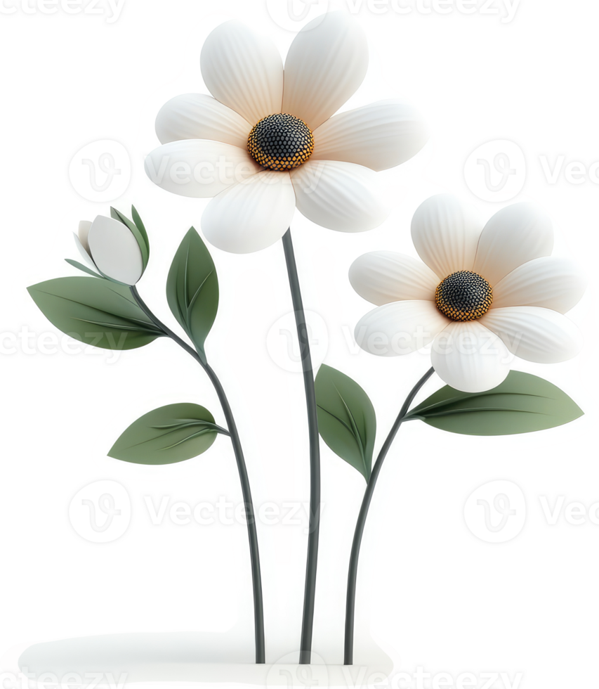 Three delicate white flowers with green leaves gracefully rise. png