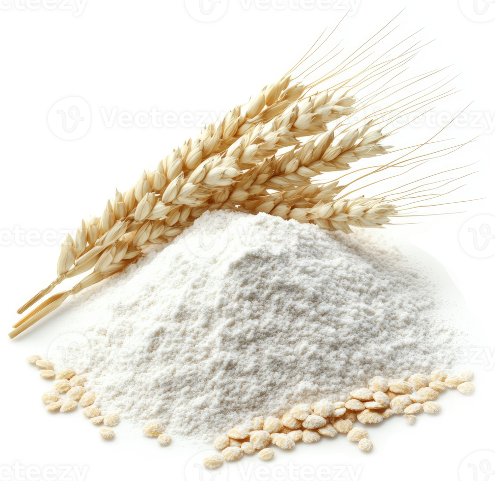 Wheat flour and wheat stalks represent a wholesome grain product. png