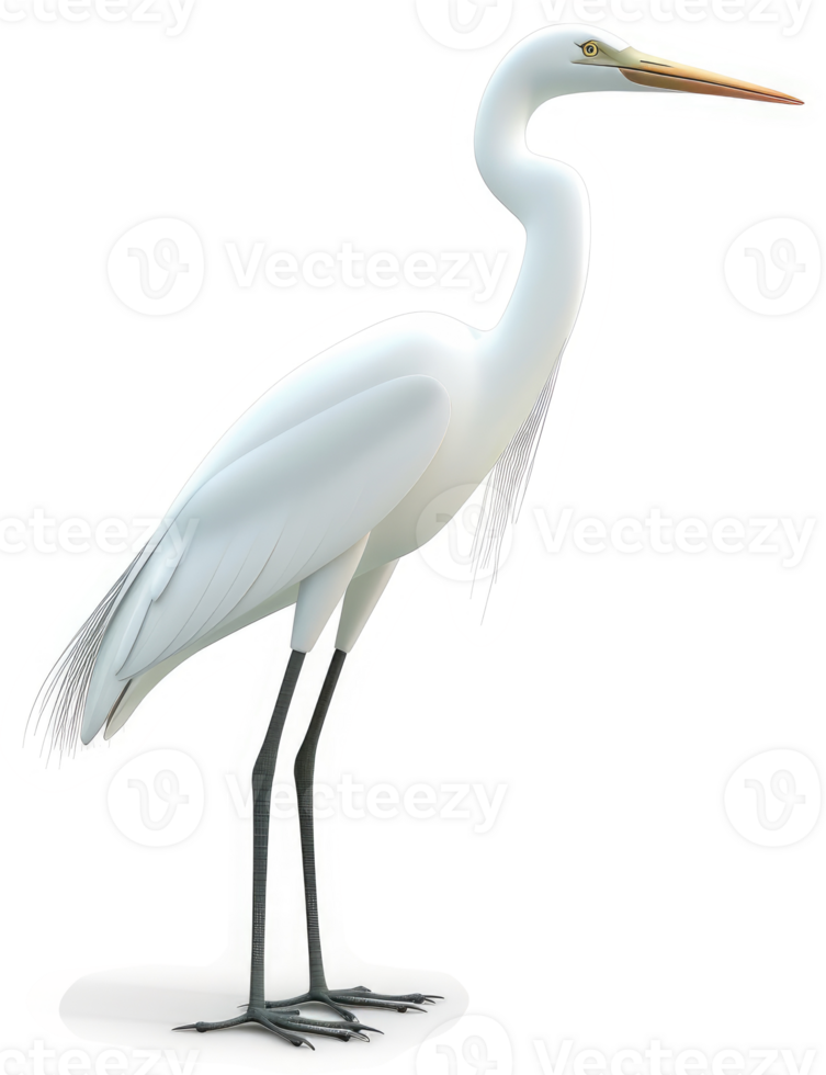 Elegant white heron stands tall and proud. png
