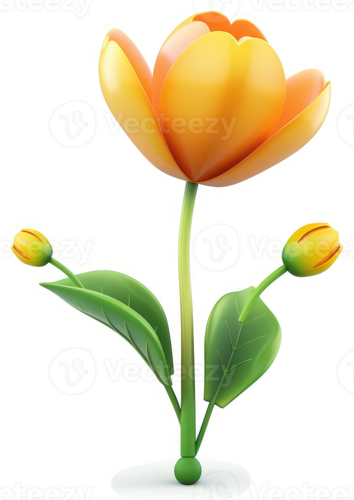 Vibrant yellow tulip with buds and leaves. png