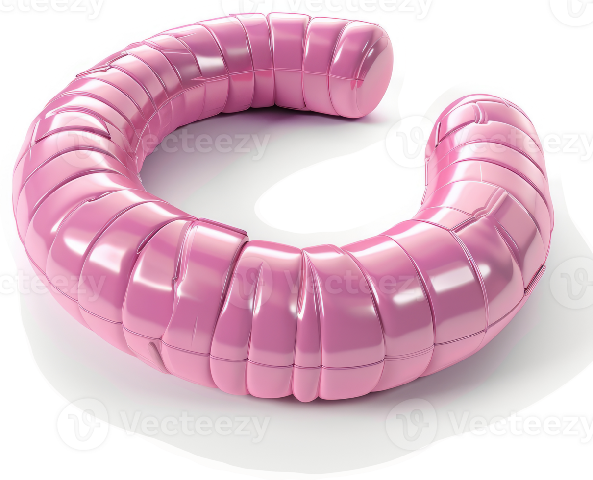 Pink, segmented, circular anatomical model. png