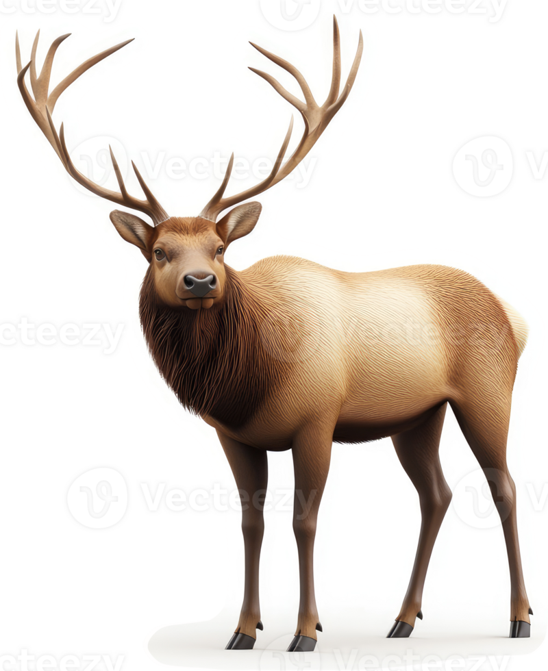 Majestic elk stands tall against a pristine white background. png
