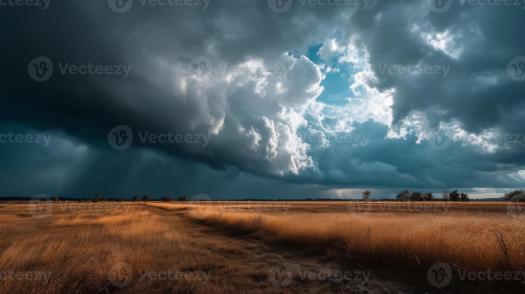 A stormy sky over a field with grass and trees photo