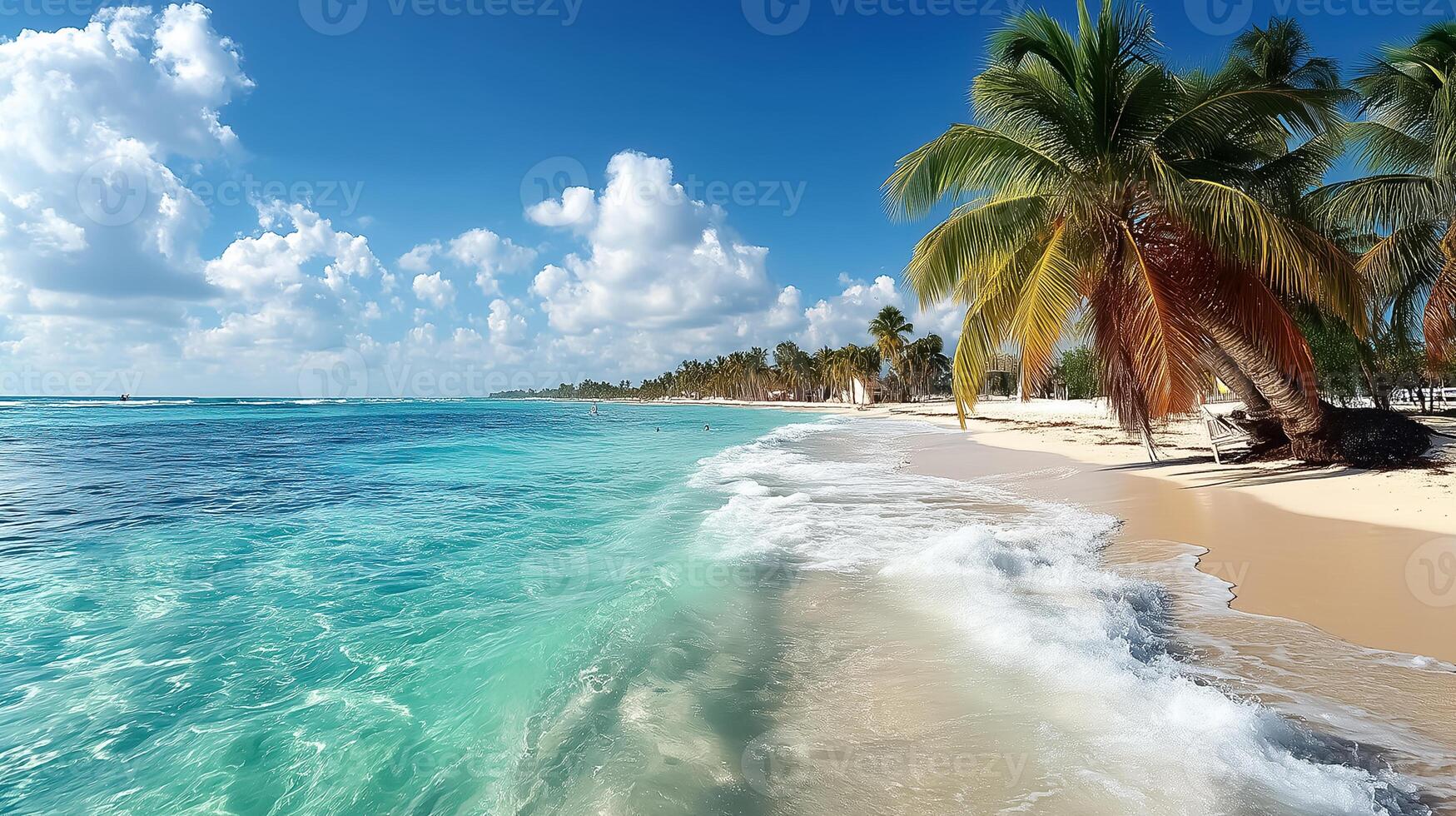 A beach with palm trees and waves on the shore photo