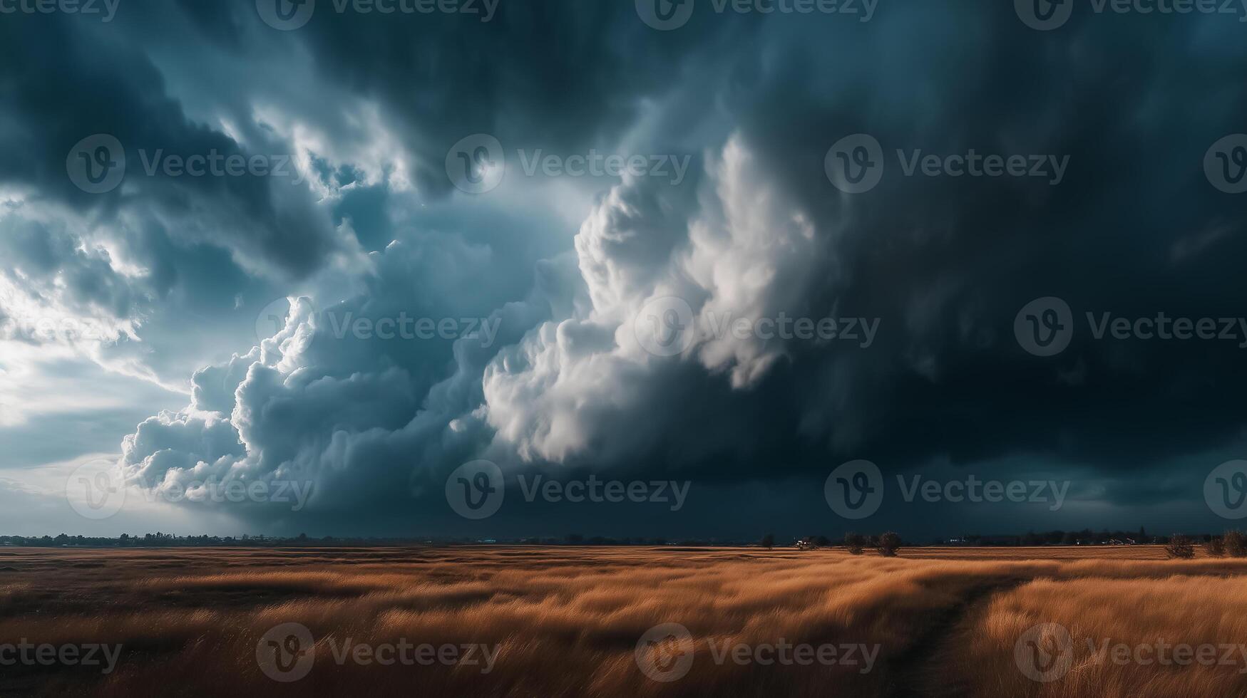 A stormy sky over a field with tall grass photo