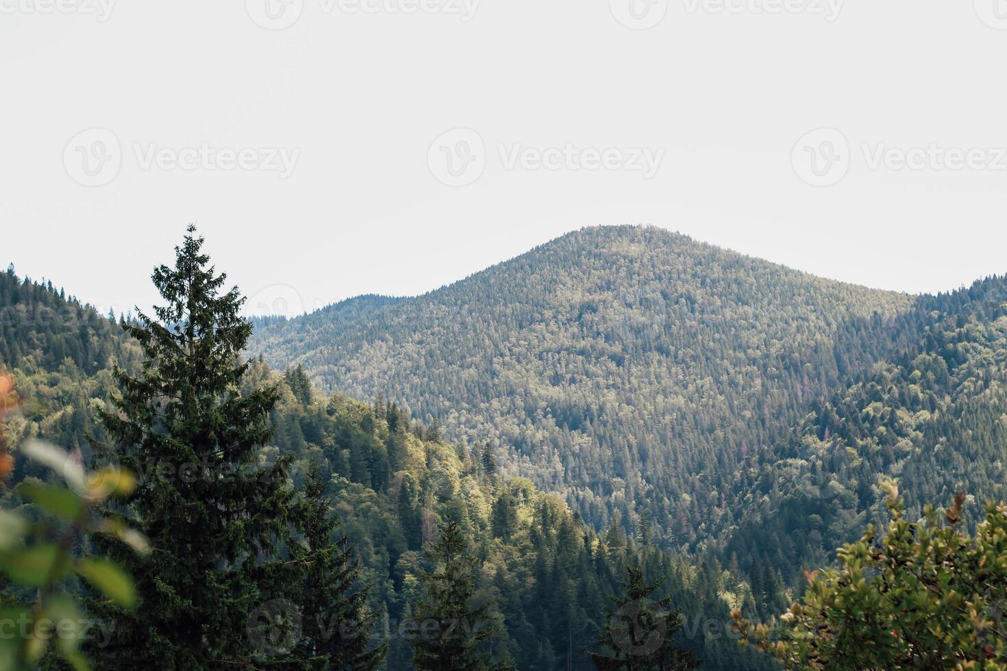 Expansive view of lush green mountains under a clear sky in a serene nature landscape photo
