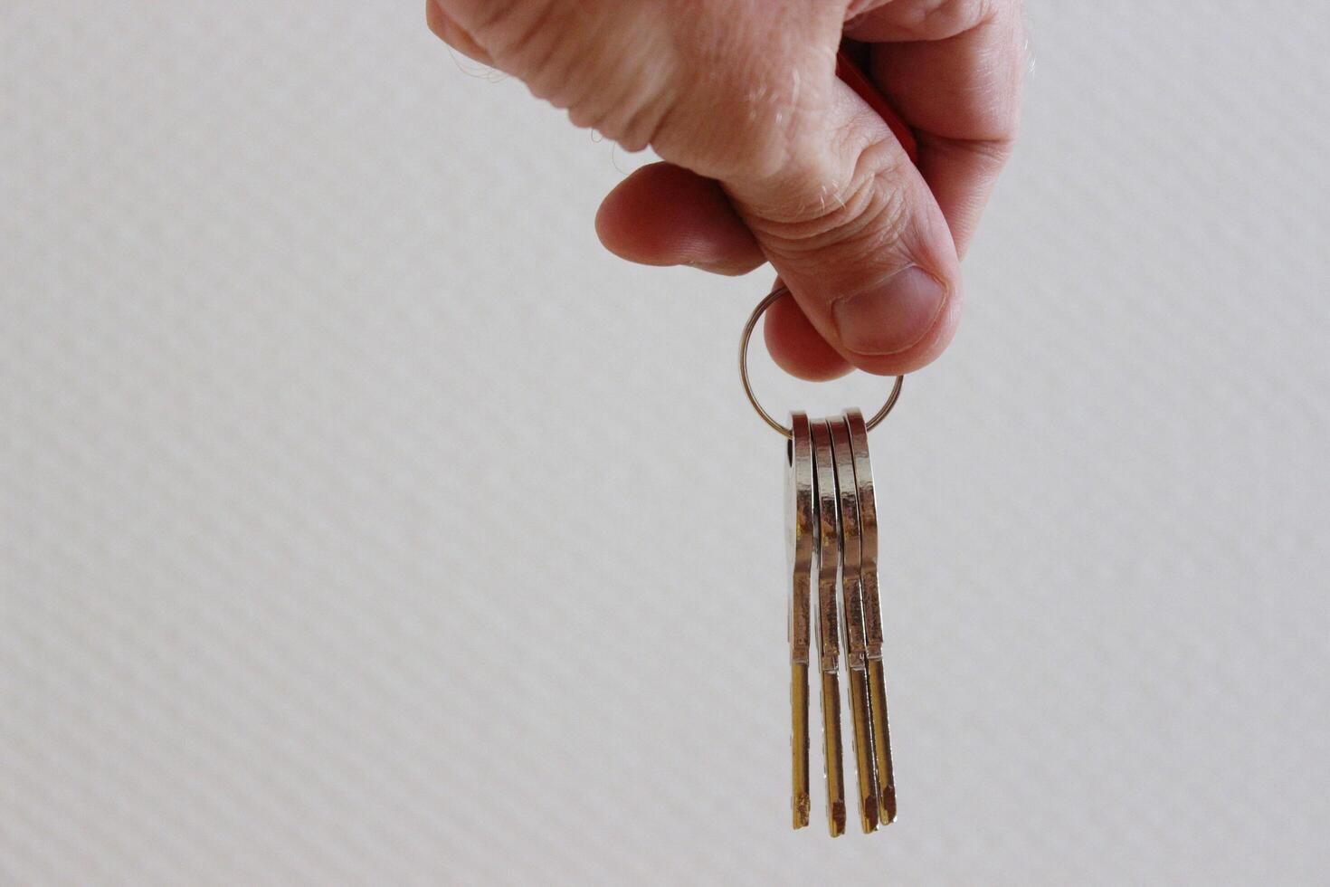 Hand Holding A Set Of Keys On A Keyring photo