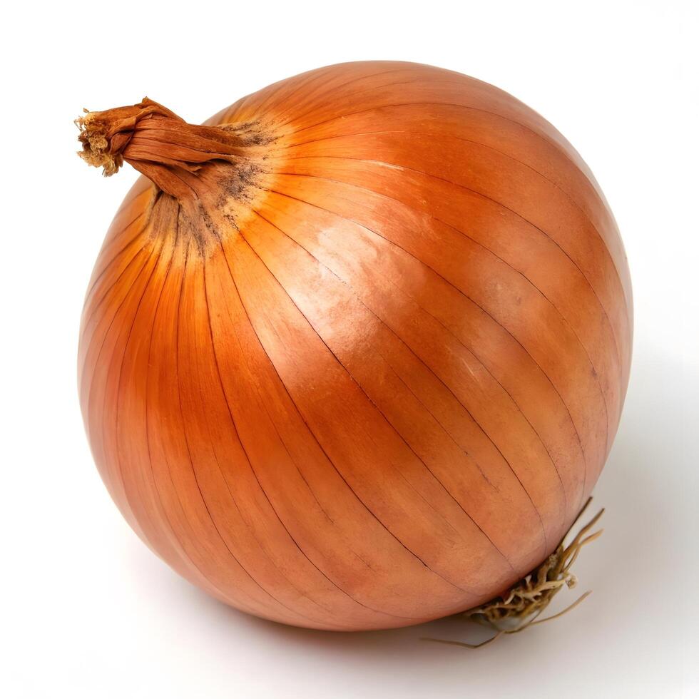 A single whole onion photo