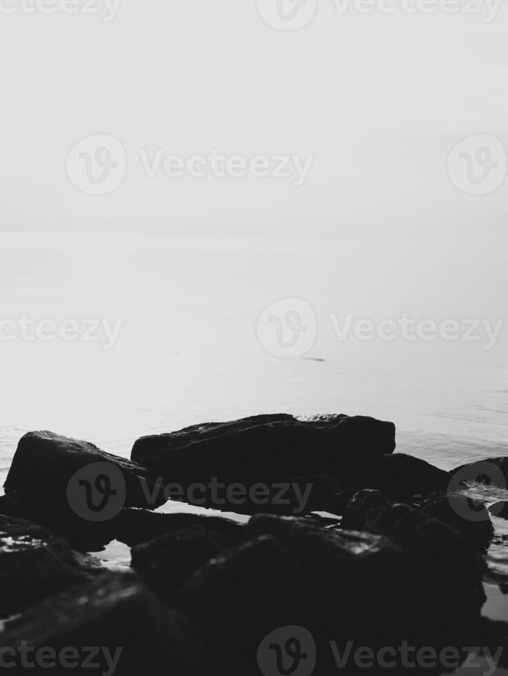 Contrasting Shadows and Serenity on the Waters Edge create a stunning visual experience photo