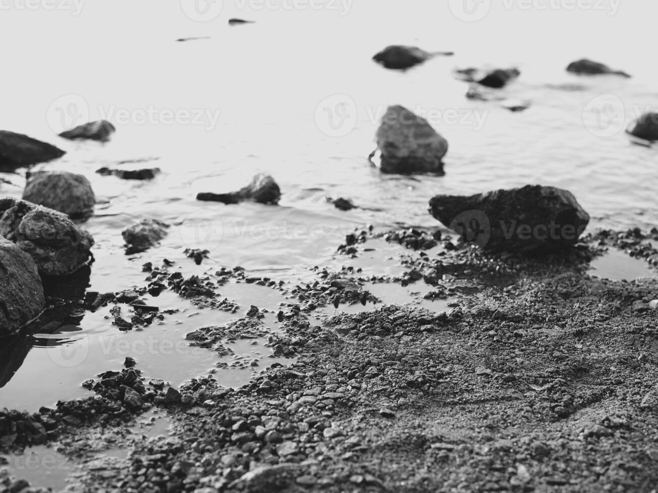 Serene Shoreline Beautifully Positioned Rocks on a Tranquil Water Edge of the Coast photo