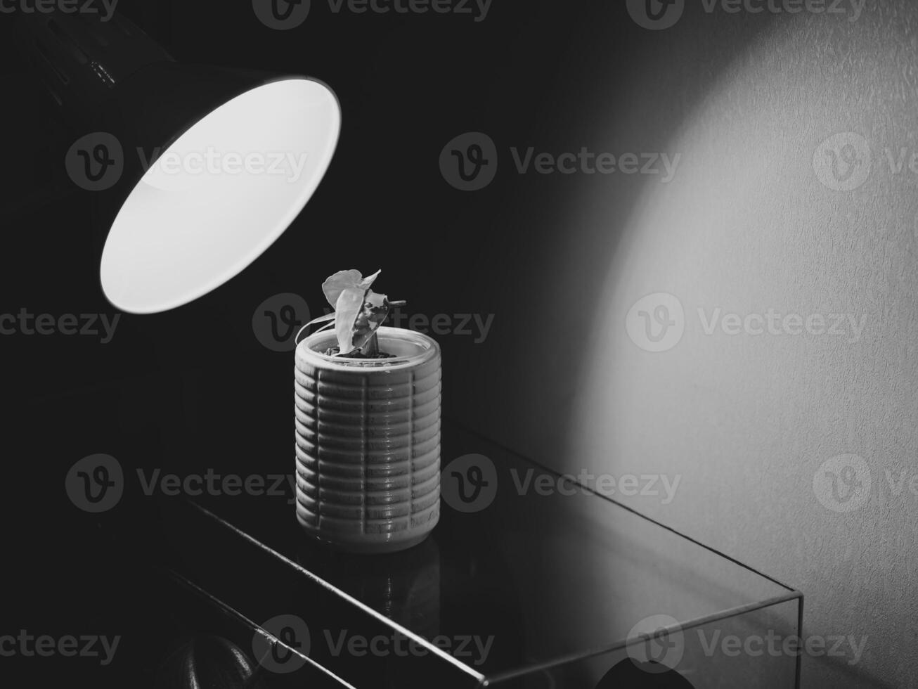 A minimalist desk setup that features creative lighting and stylish decor to enhance the space photo