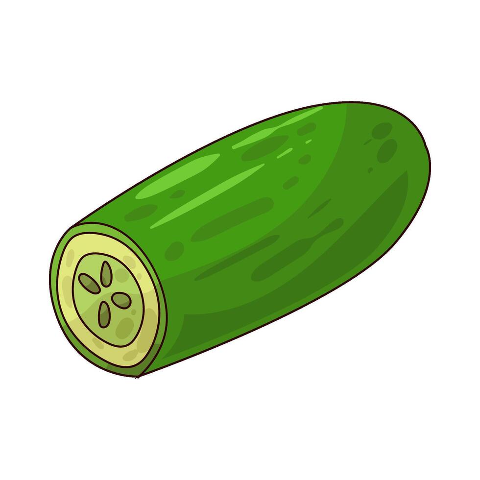 half cucumber illustration vector