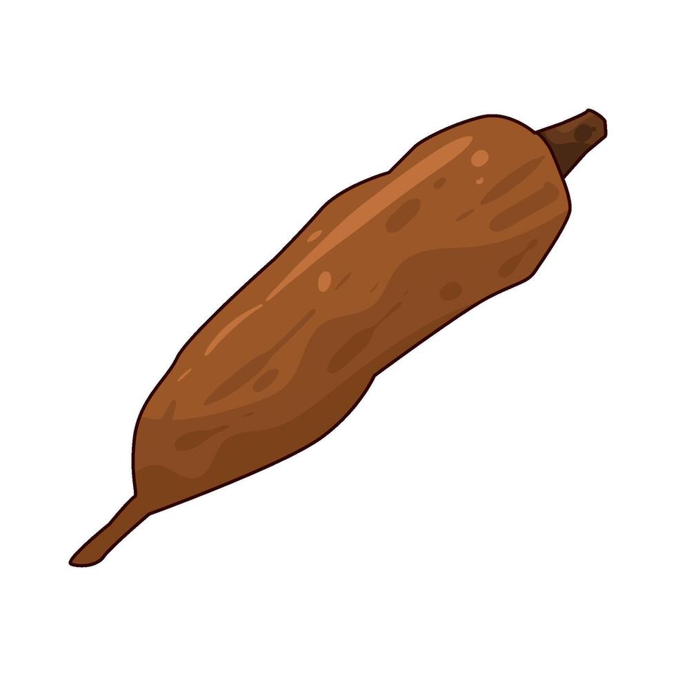 illustration of cassava vector