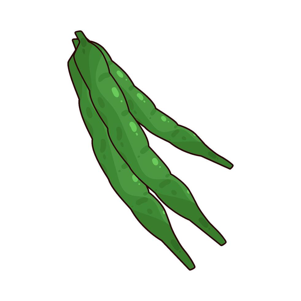 green beans illustration vector