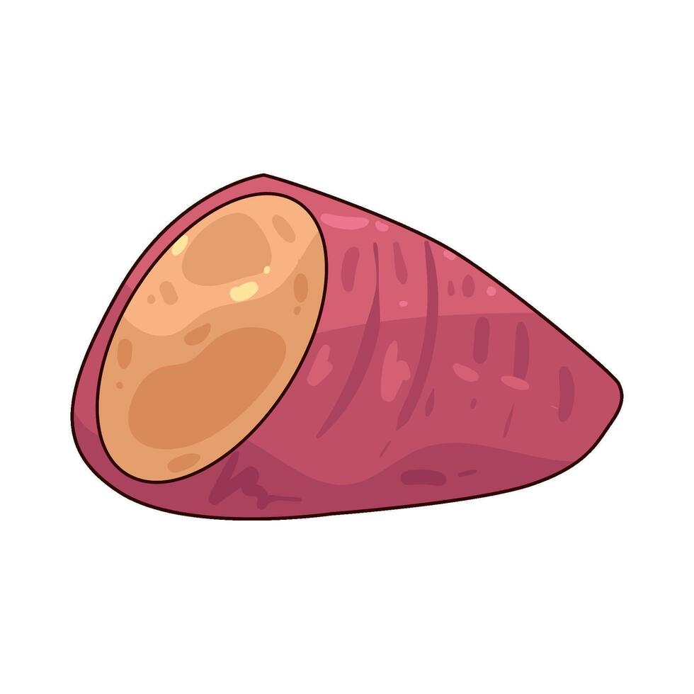 half sweet potato vector