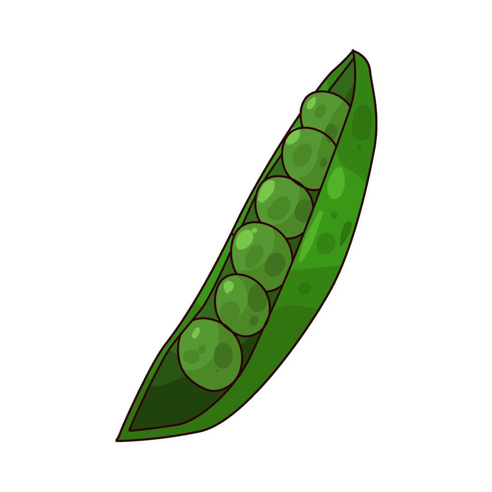 fresh peas illustration vector